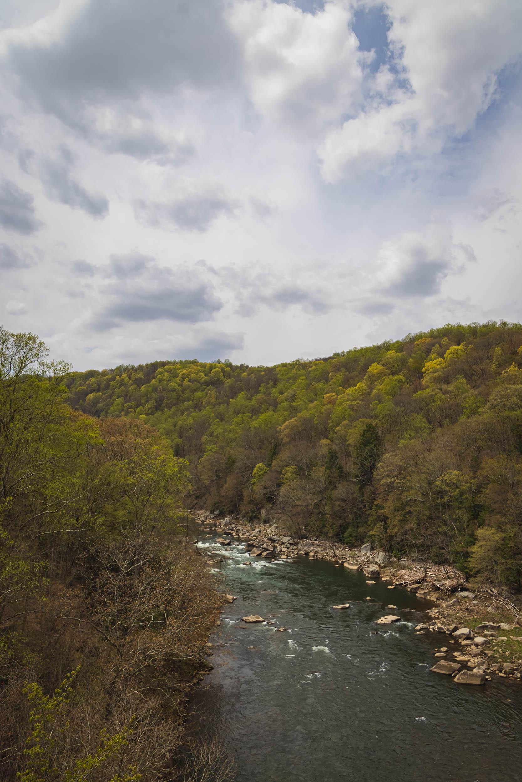 A photo of a rock-lined creek winding through woods