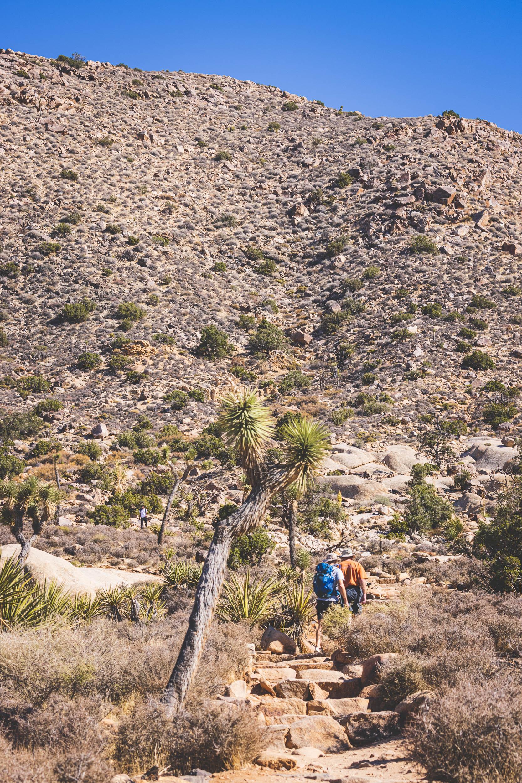 Two guys I met climbing Ryan Mountain at the start of their cross-country road trip