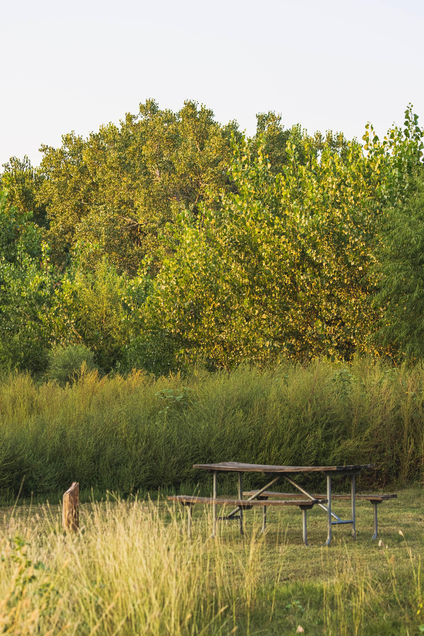 A view of my campsite