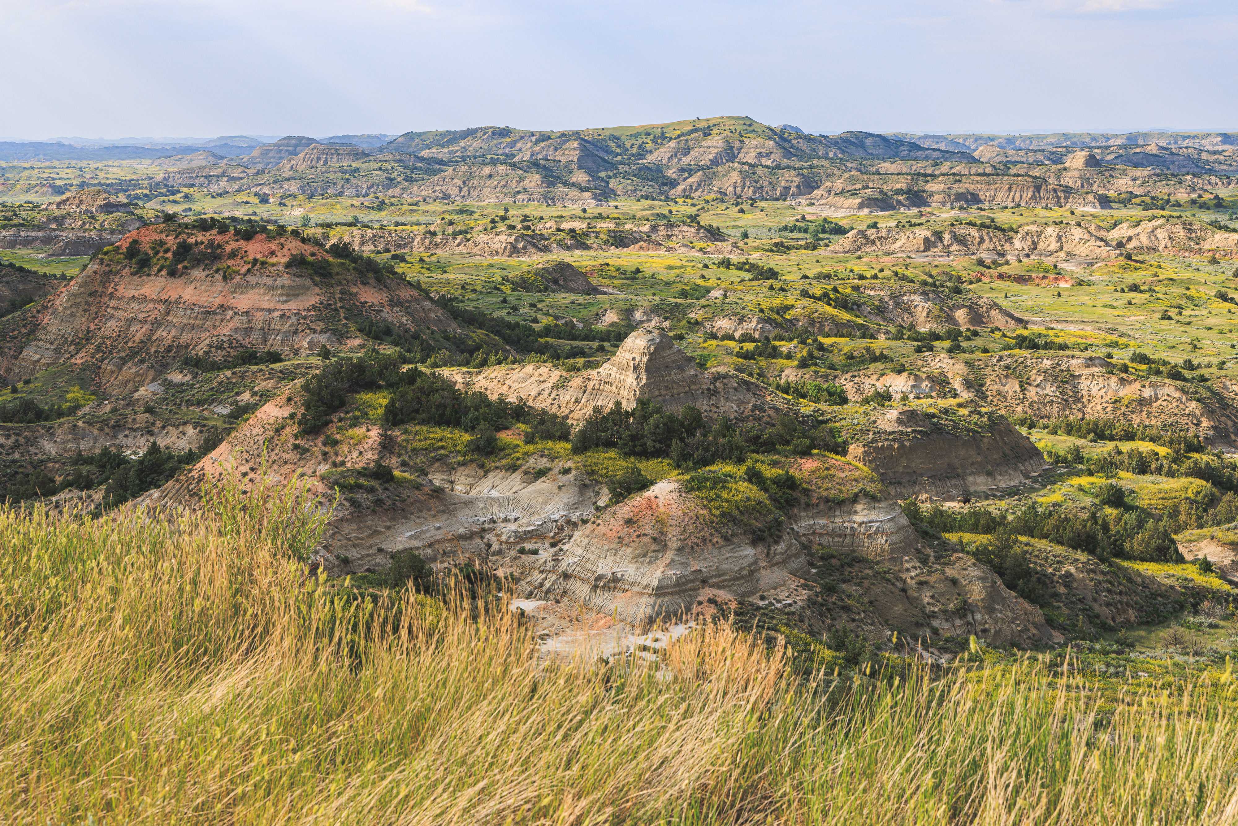 The image is the view from an overlook, showing a shallow bowl-shaped canyon filled with verdant green tall grasses and shrubs, which is strewn with rock formations that roll up from the land almost like sand dunes. .
